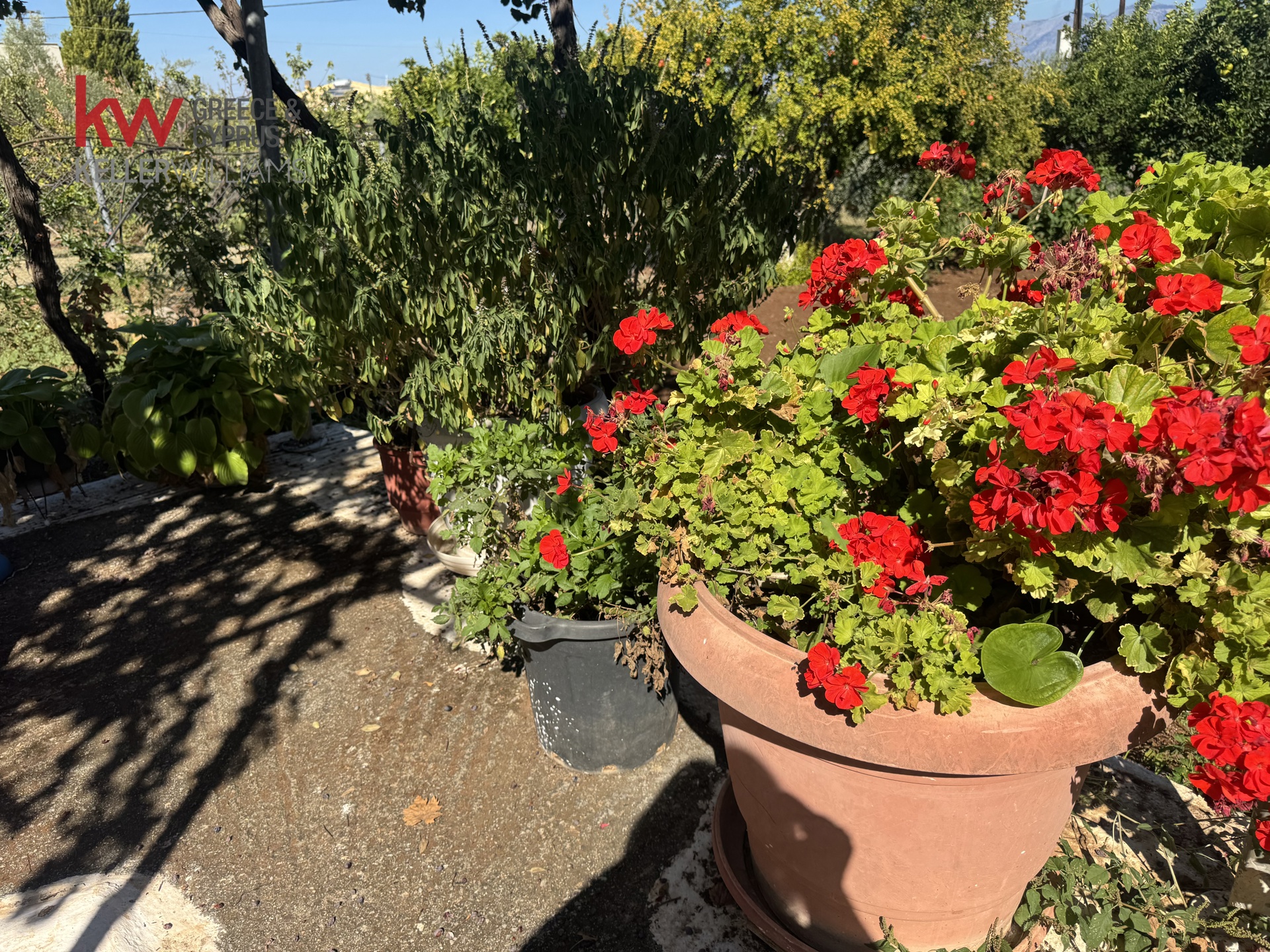Gallery image 21