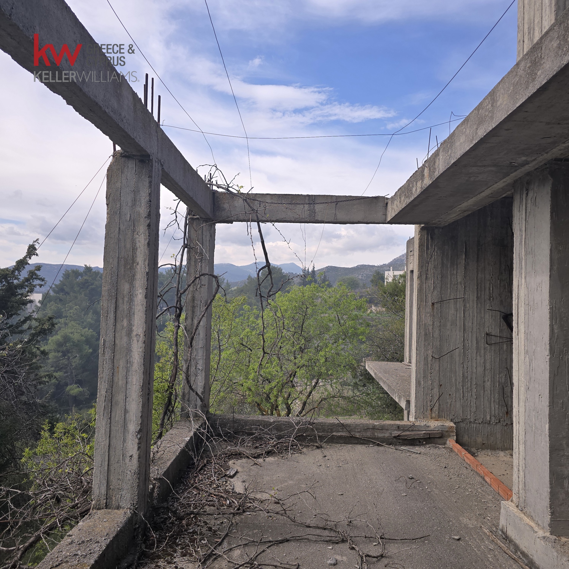 Gallery image 10