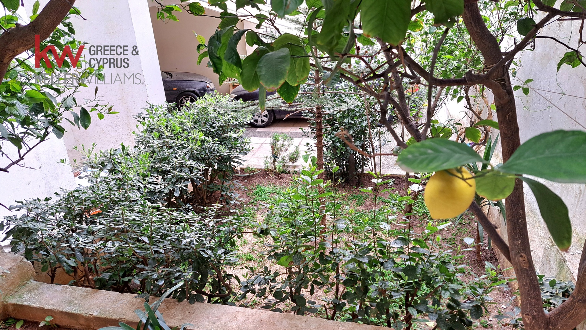 Gallery image 17