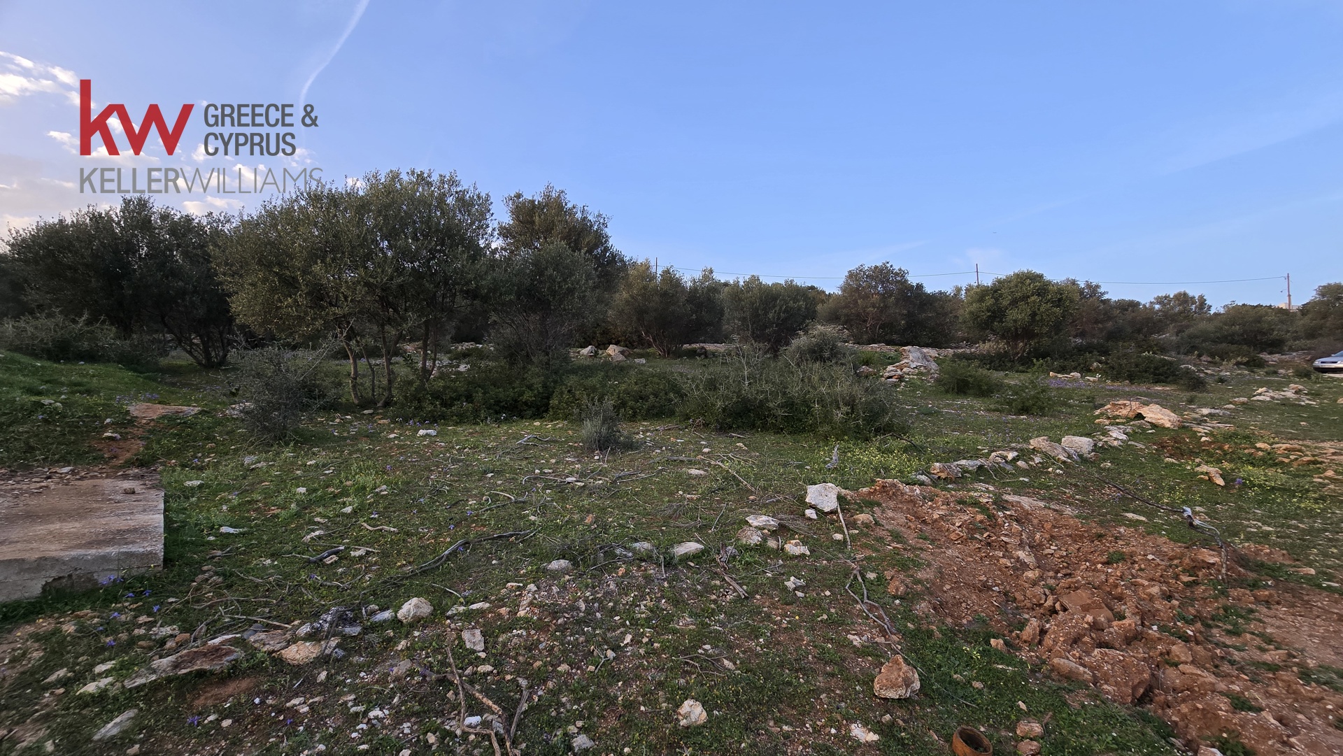 Gallery image 6