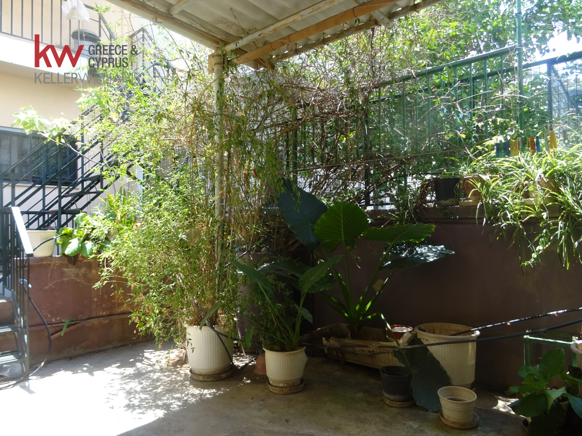 Gallery image 9