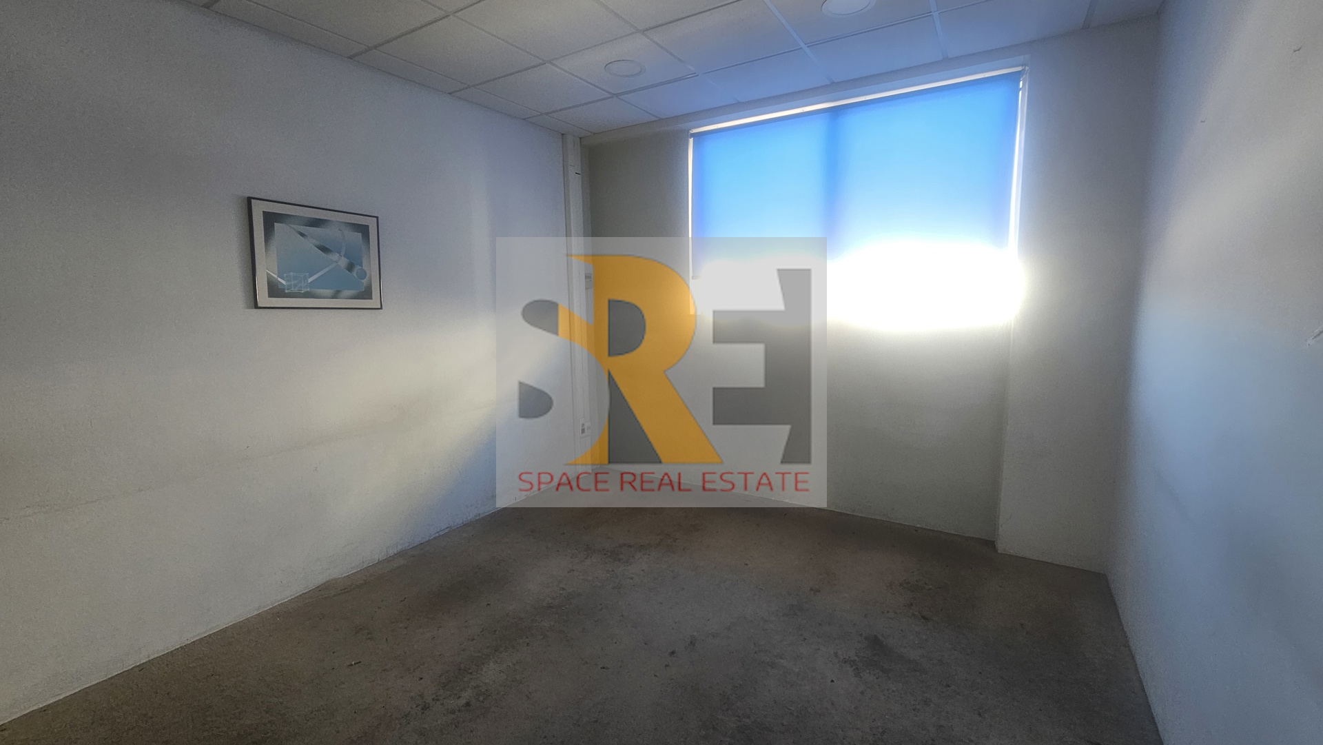 Gallery image 13