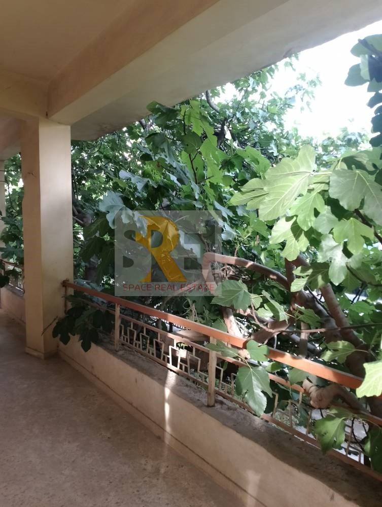 Gallery image 12
