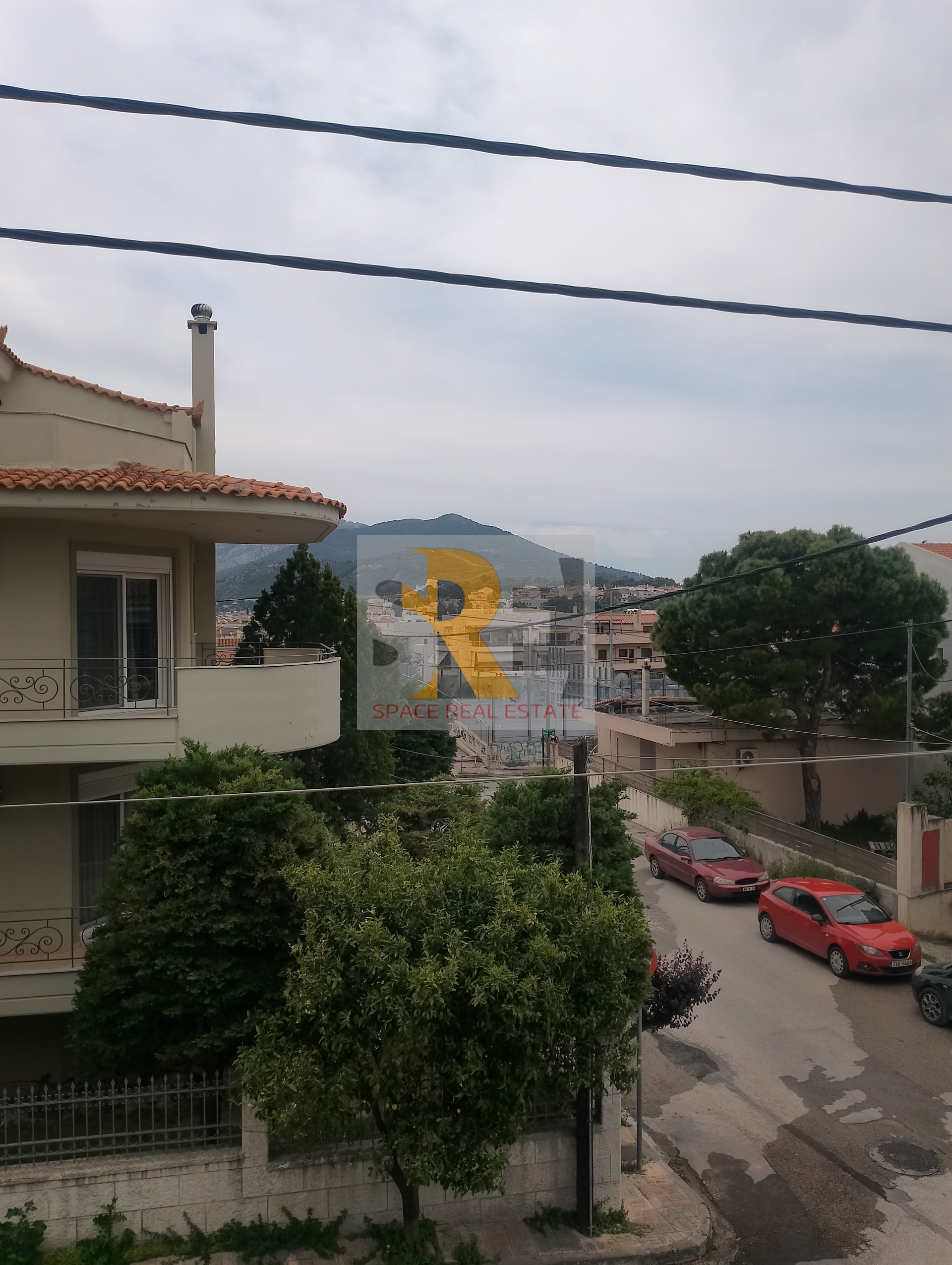 Gallery image 13
