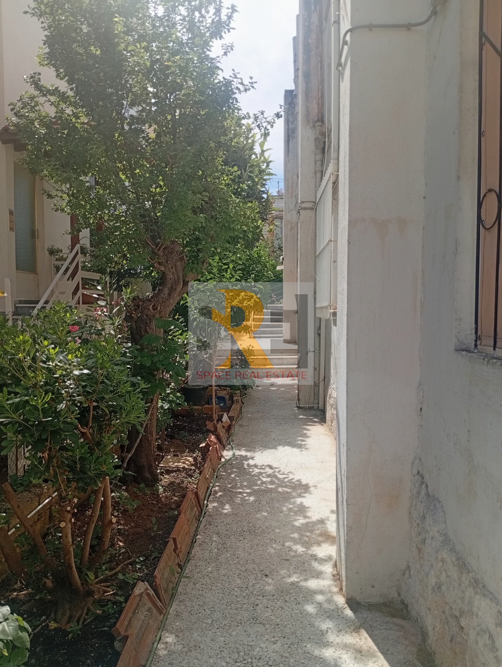 Gallery image 14