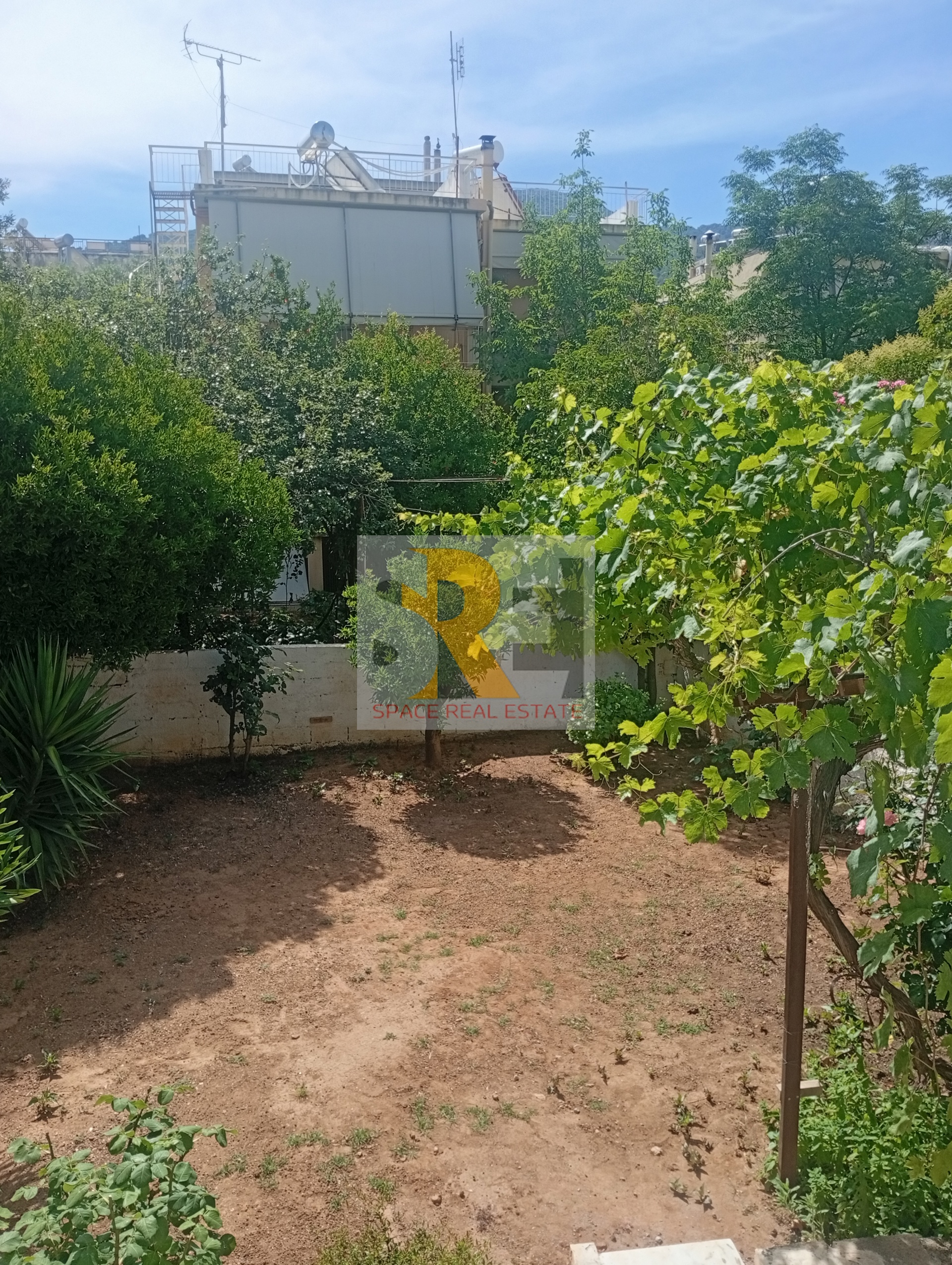 Gallery image 16