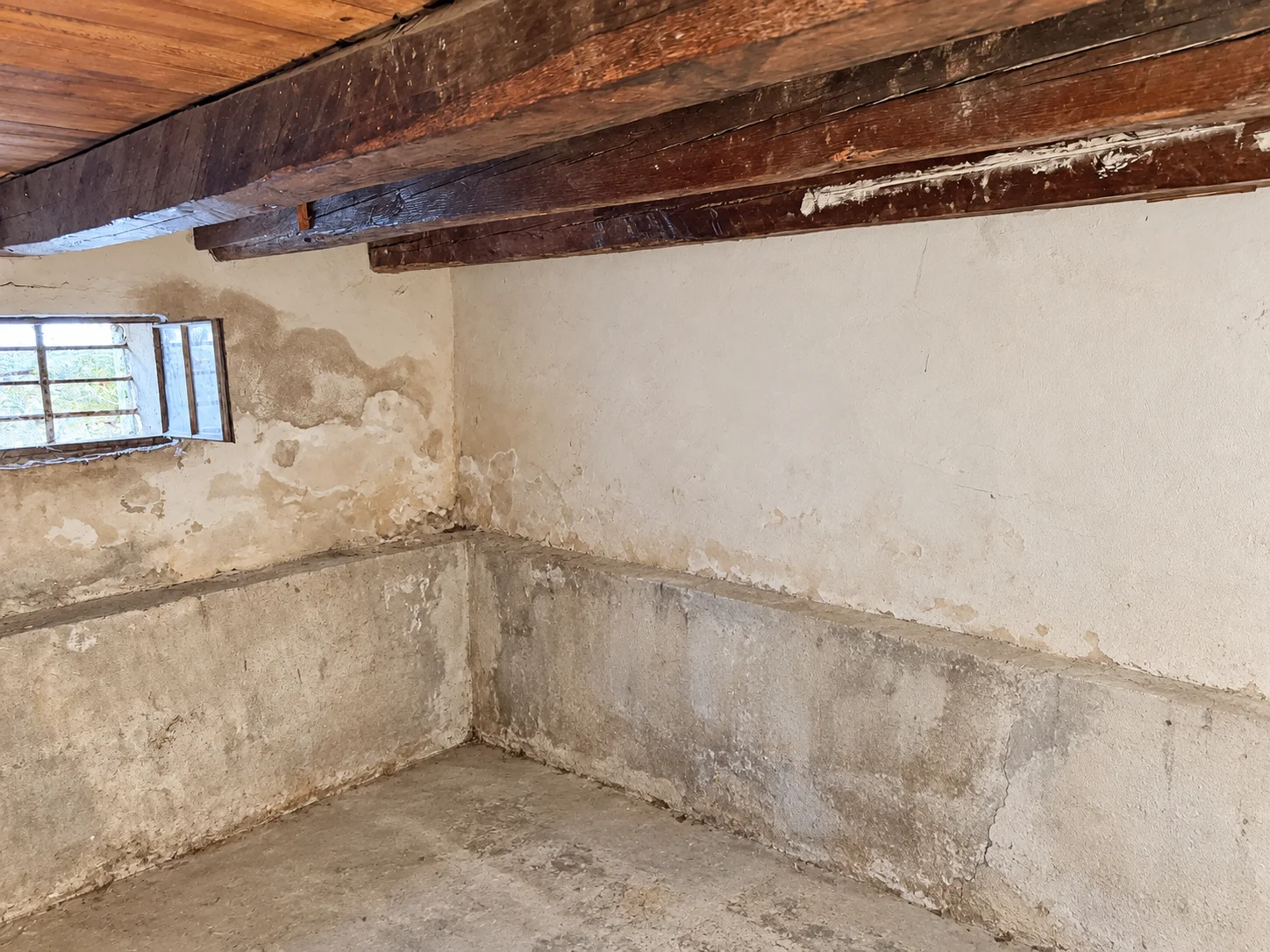 Gallery image 8