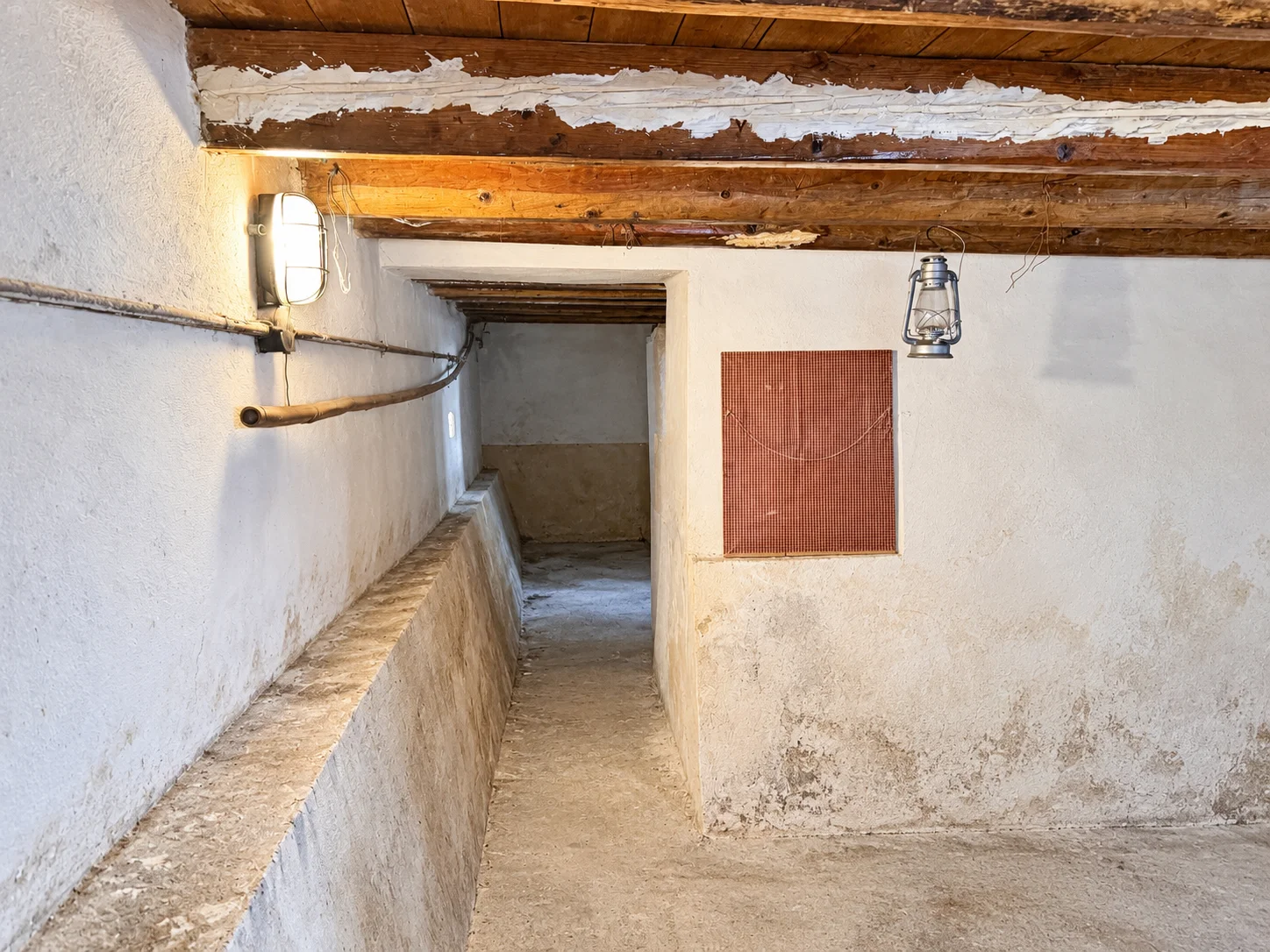 Gallery image 10