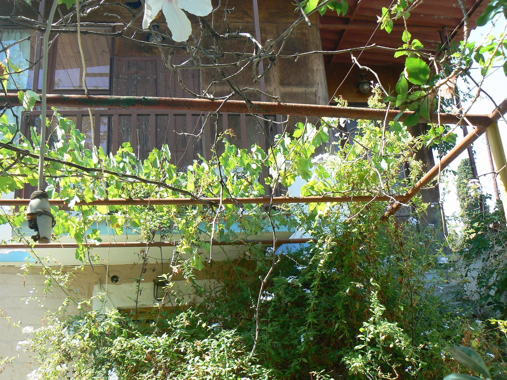 Gallery image 5