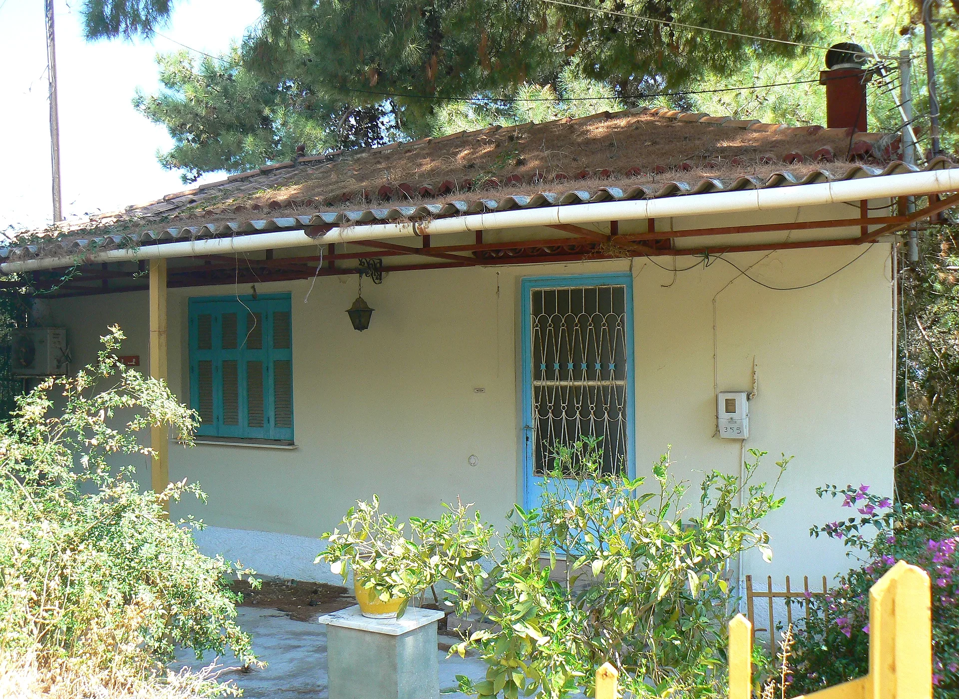 Gallery image 1