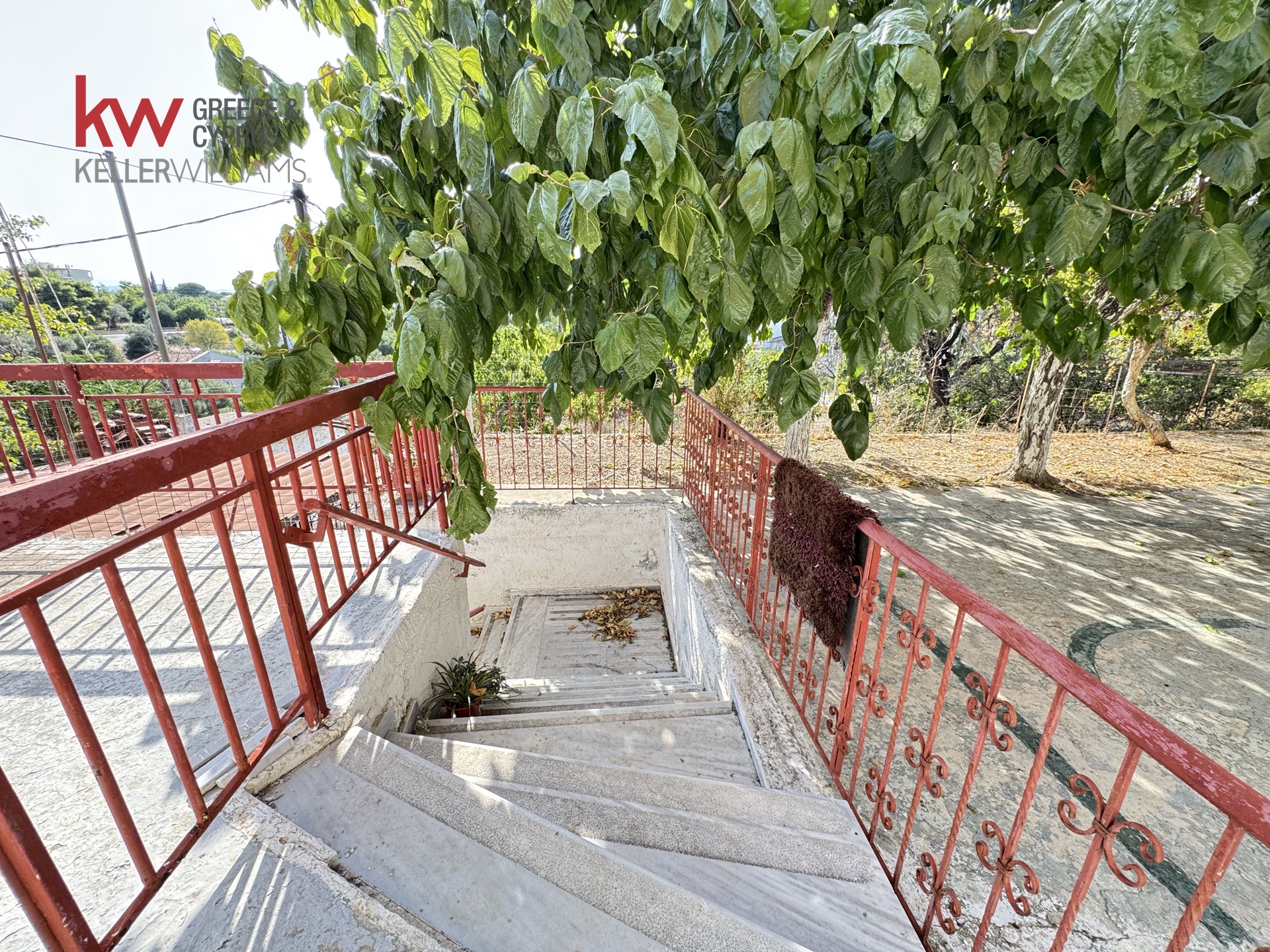 Gallery image 11