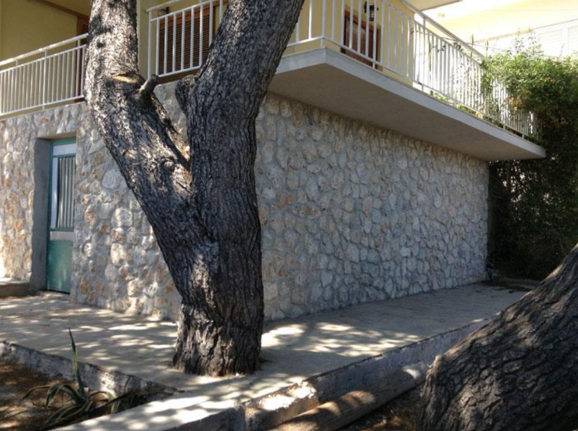 Gallery image 13