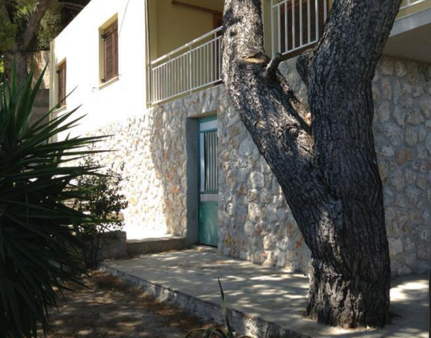 Gallery image 9