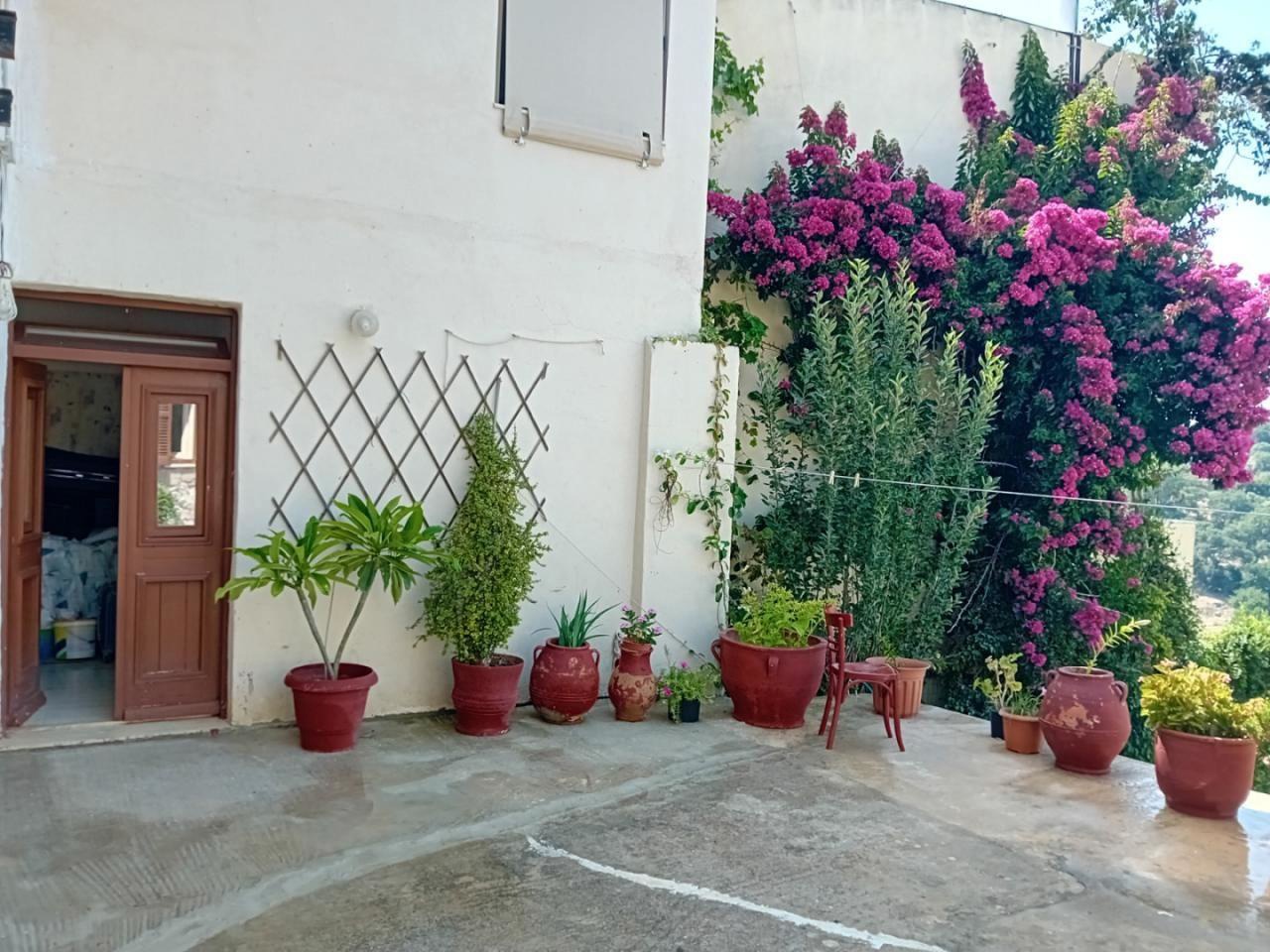 Gallery image 9