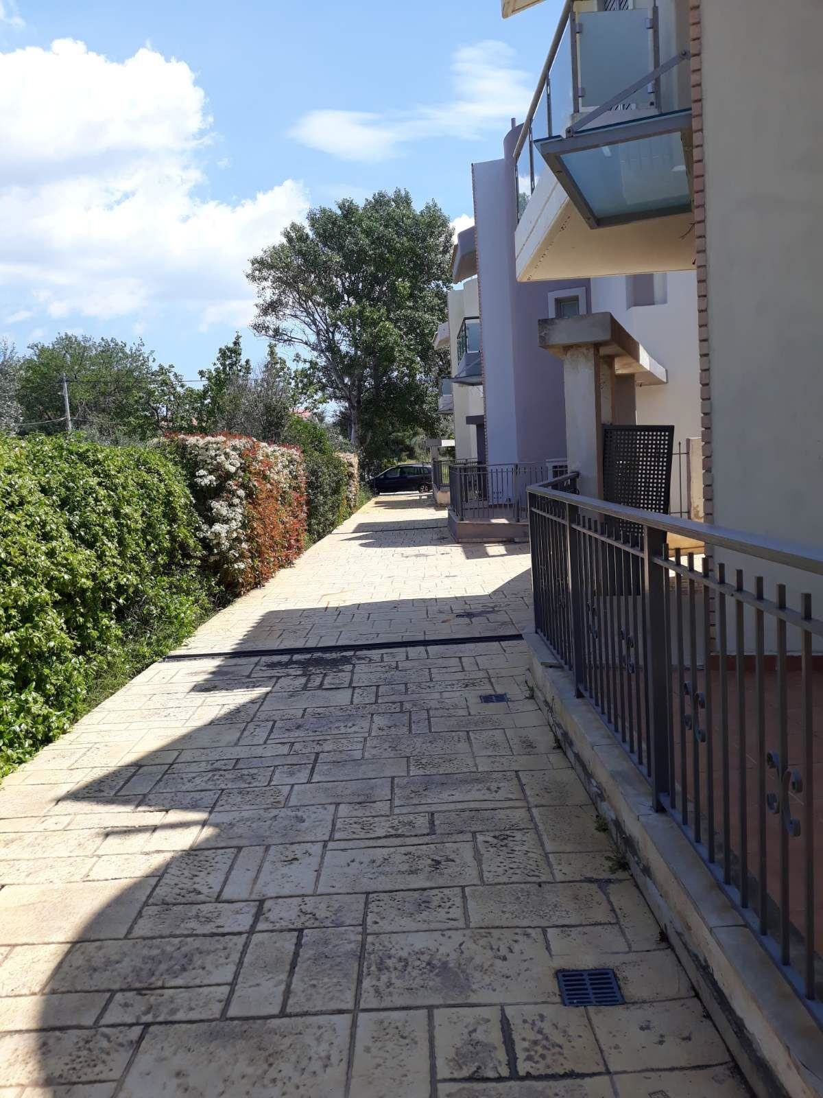 Gallery image 15