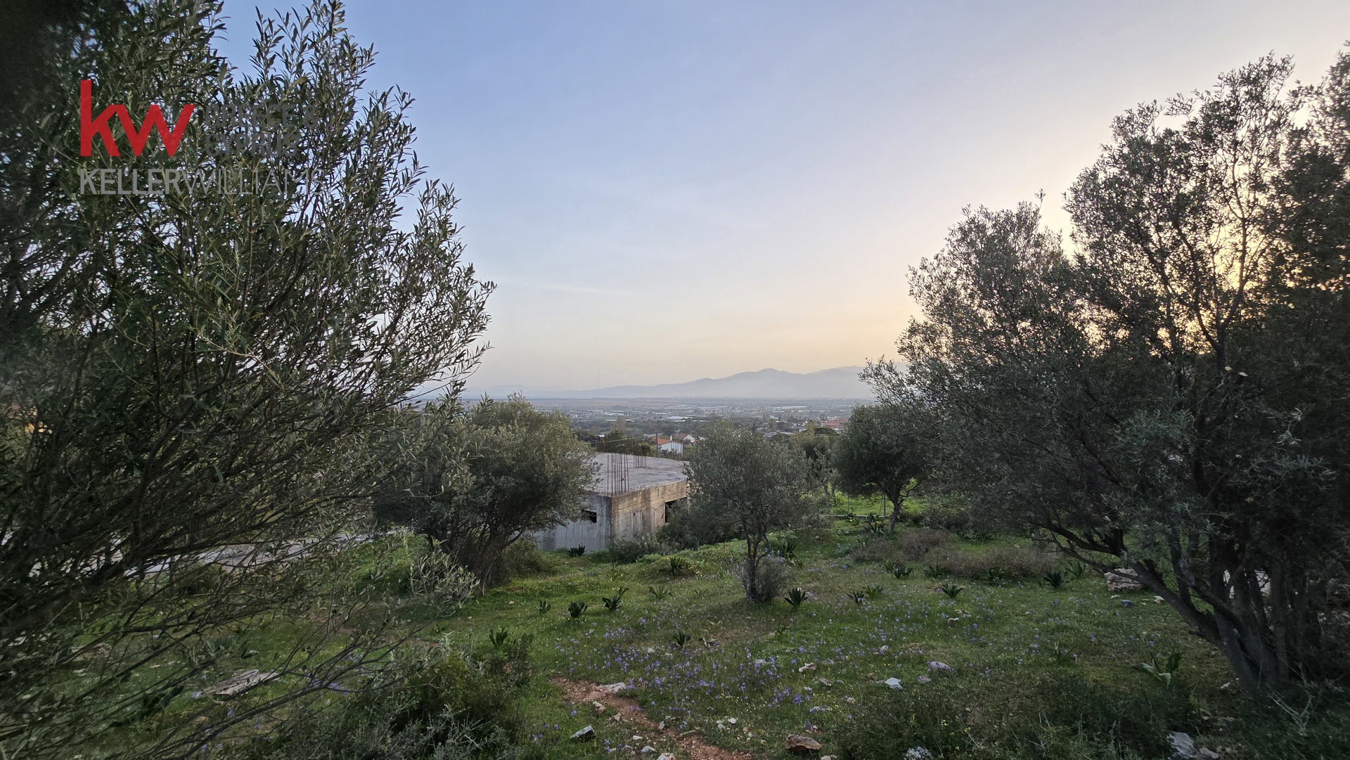 Gallery image 10