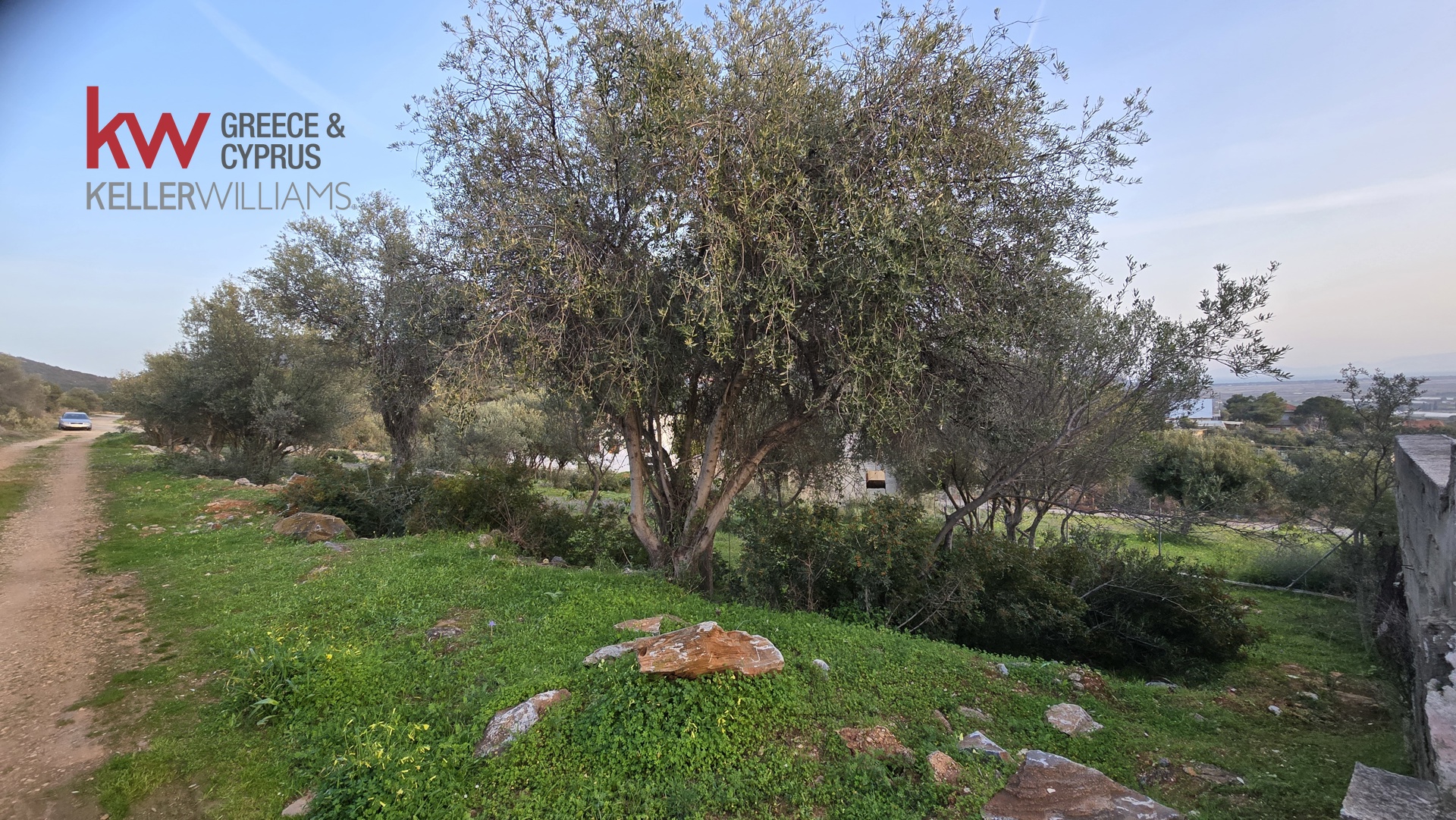 Gallery image 6