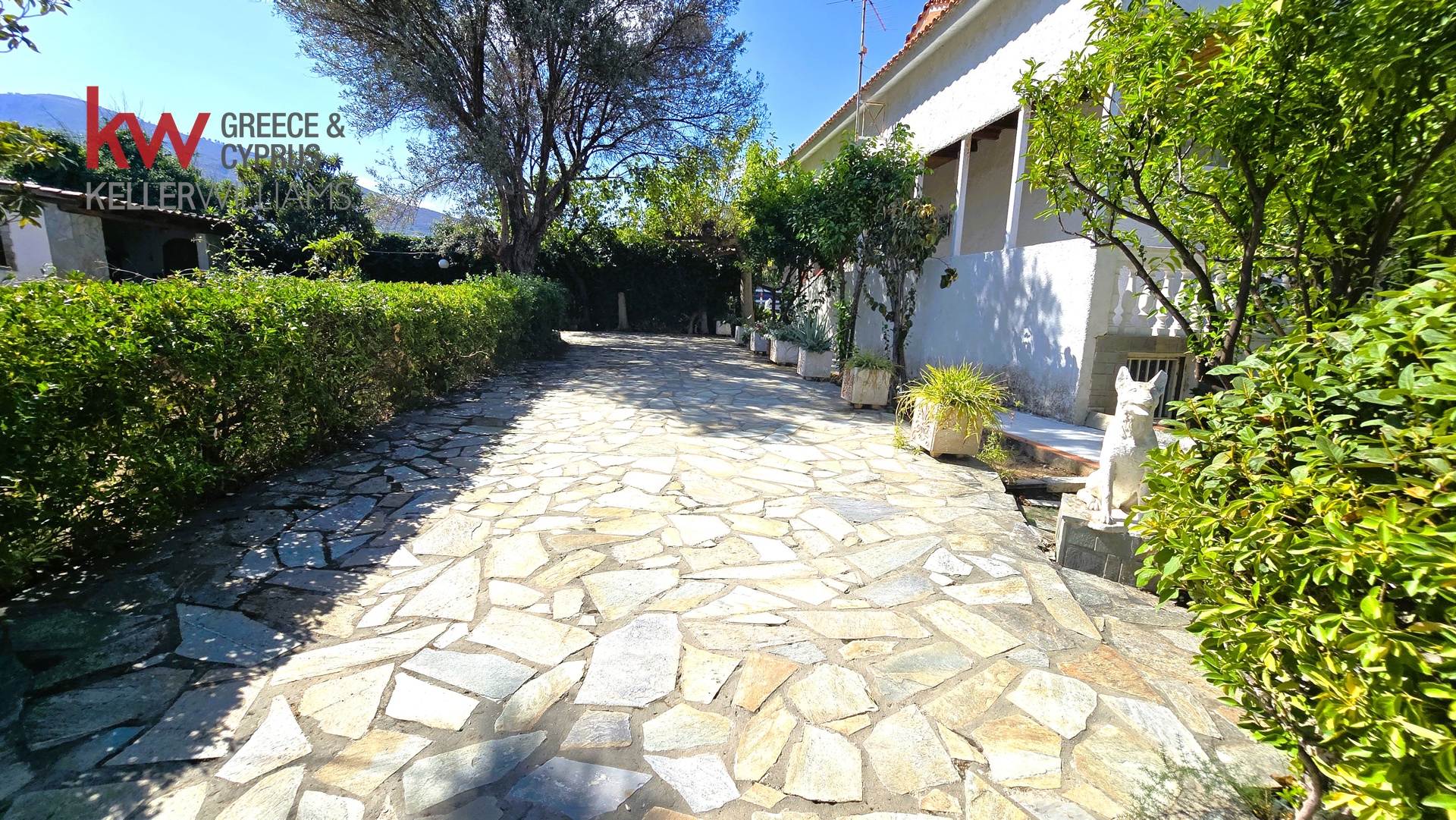 Gallery image 12