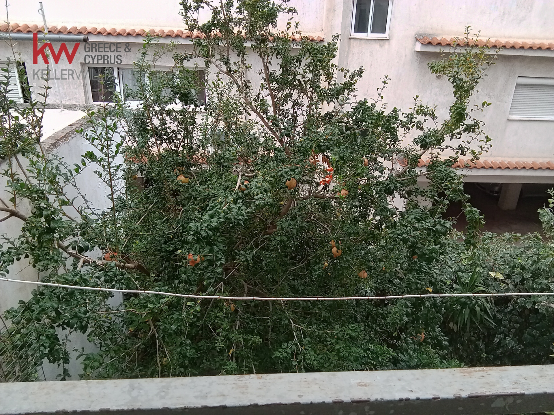 Gallery image 11