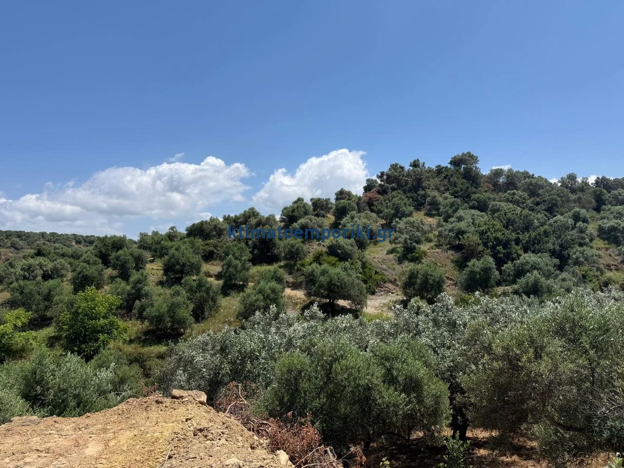 Gallery image 10