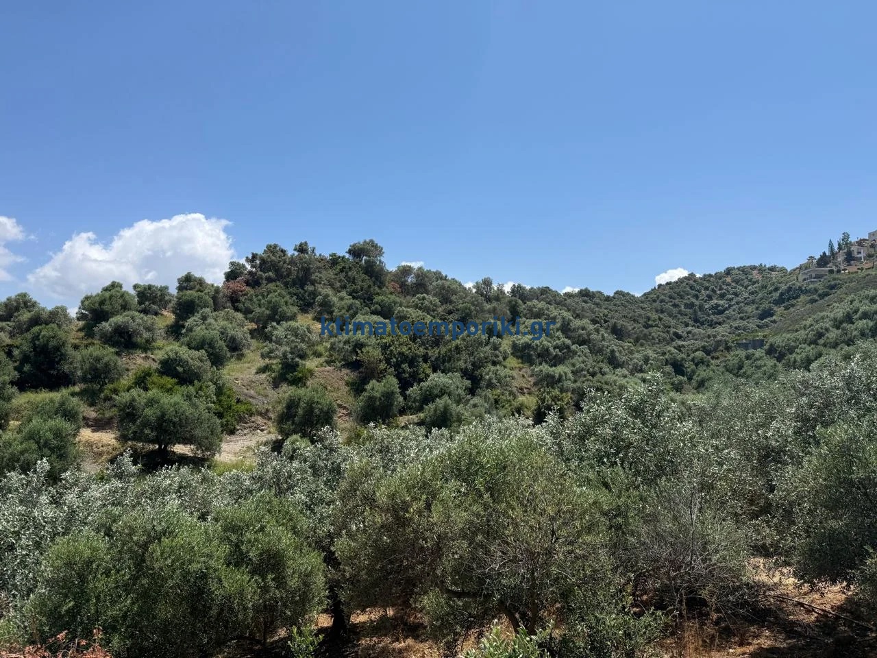 Gallery image 11