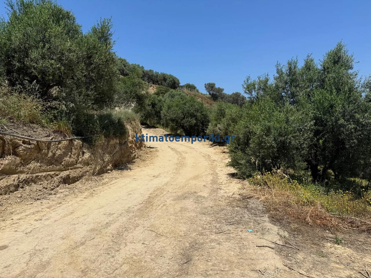 Gallery image 14