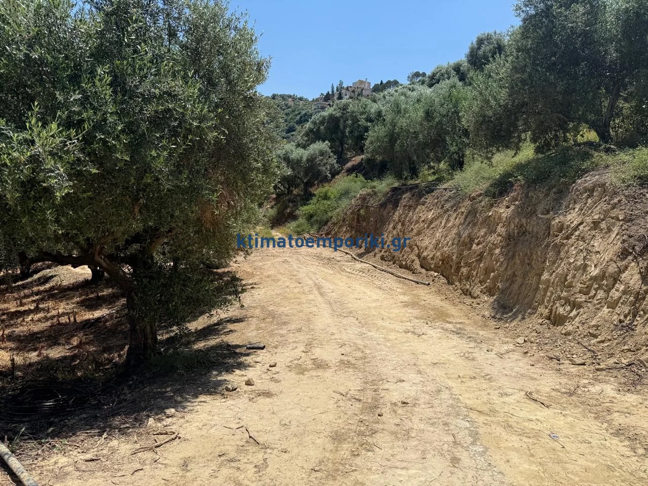 Gallery image 13