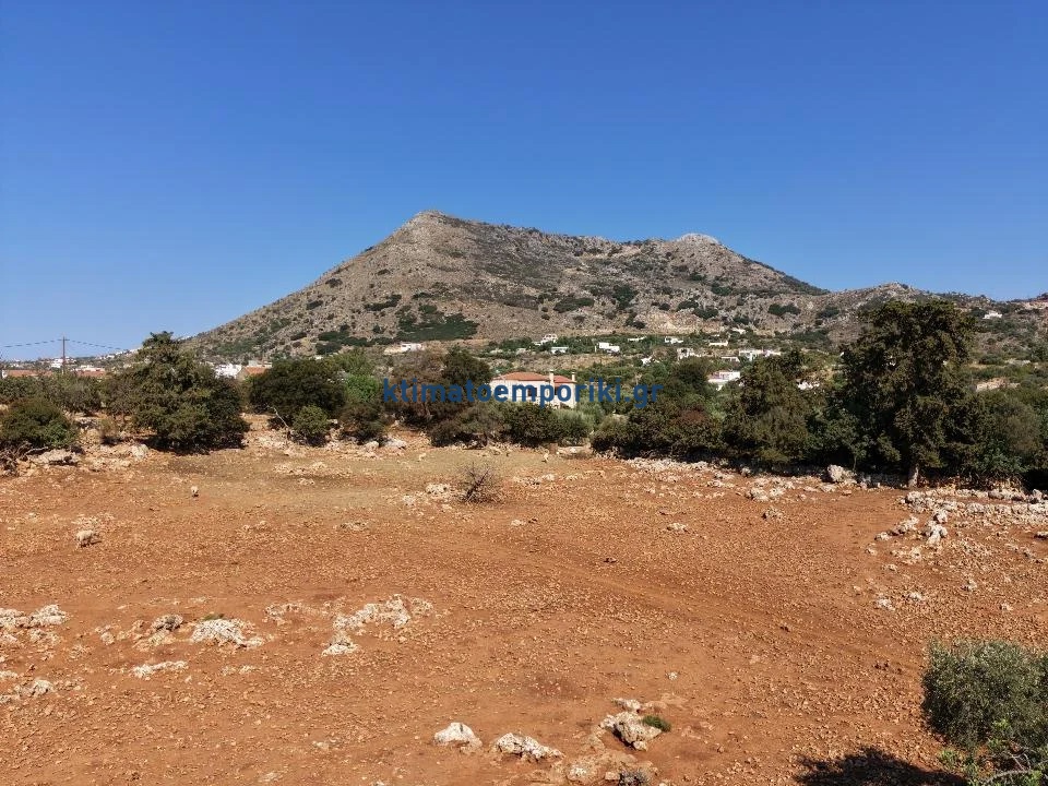Gallery image 11