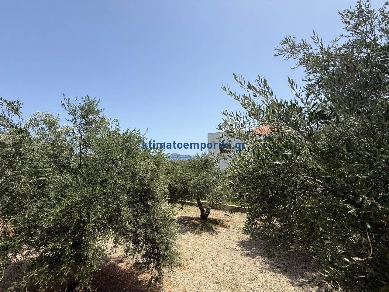 Gallery image 13