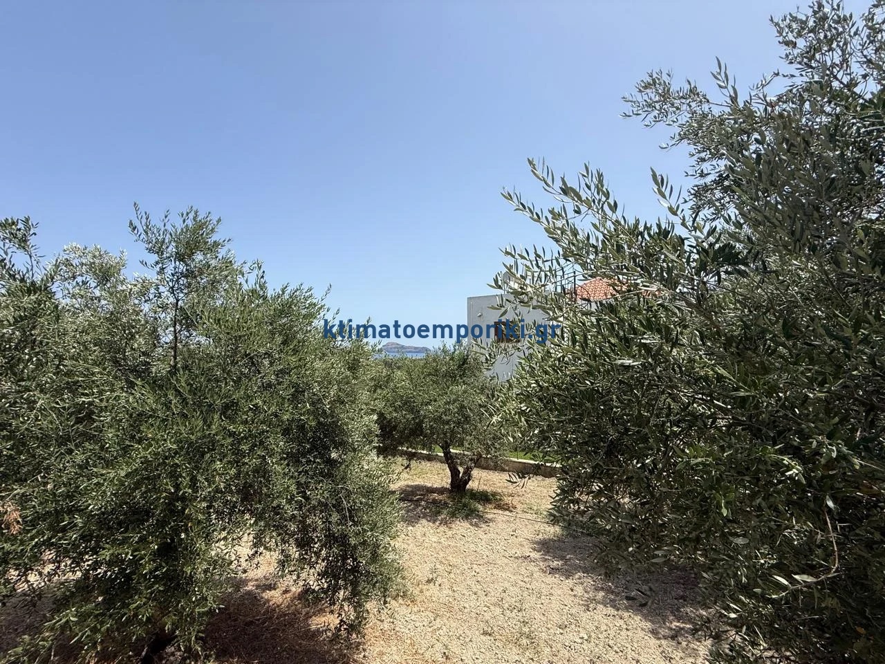 Gallery image 12