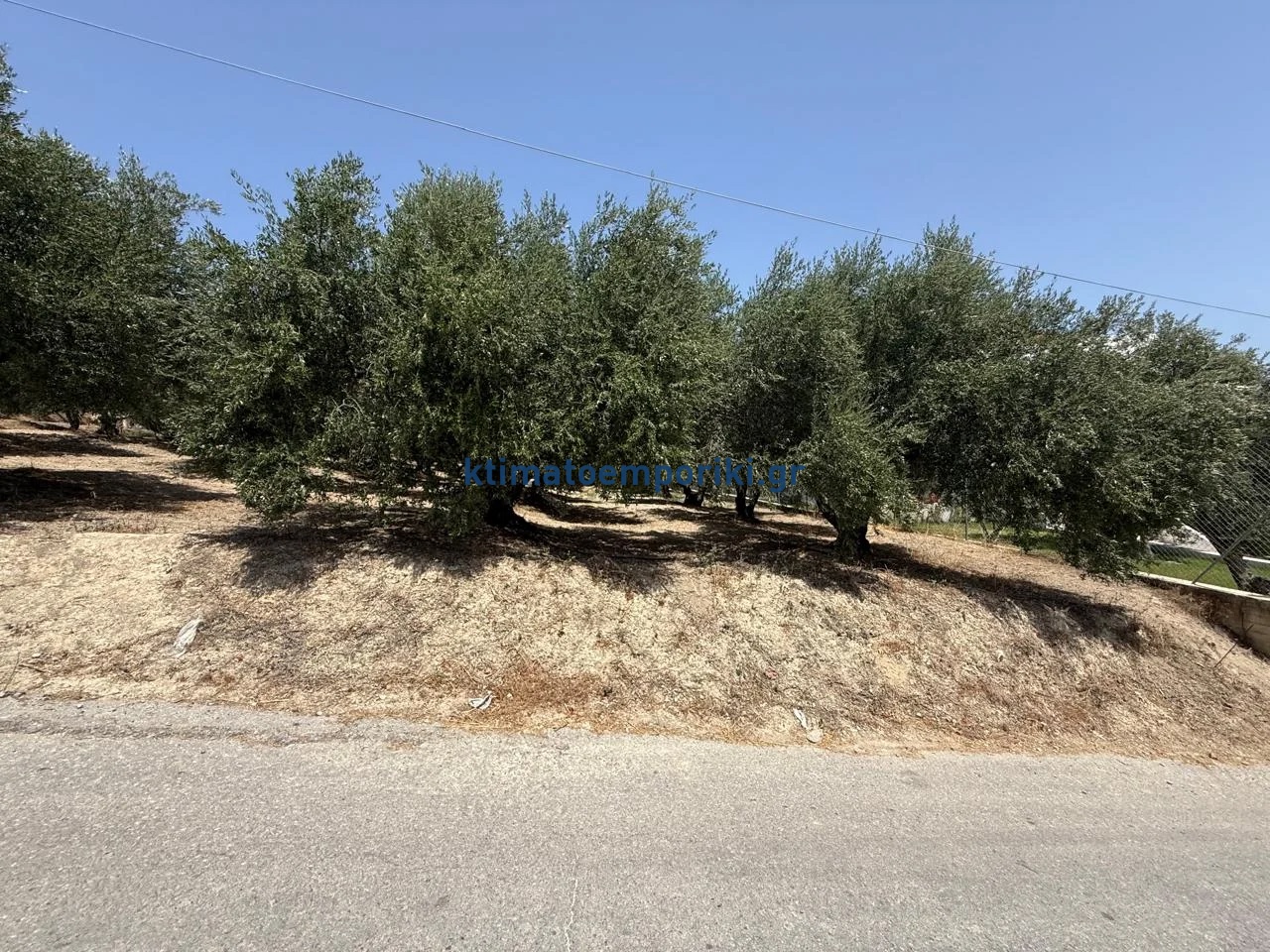 Gallery image 14