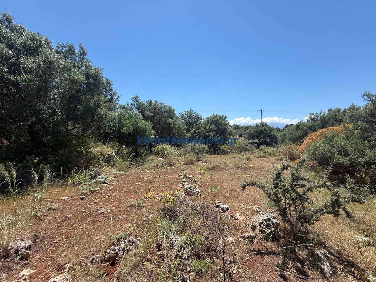 Gallery image 9