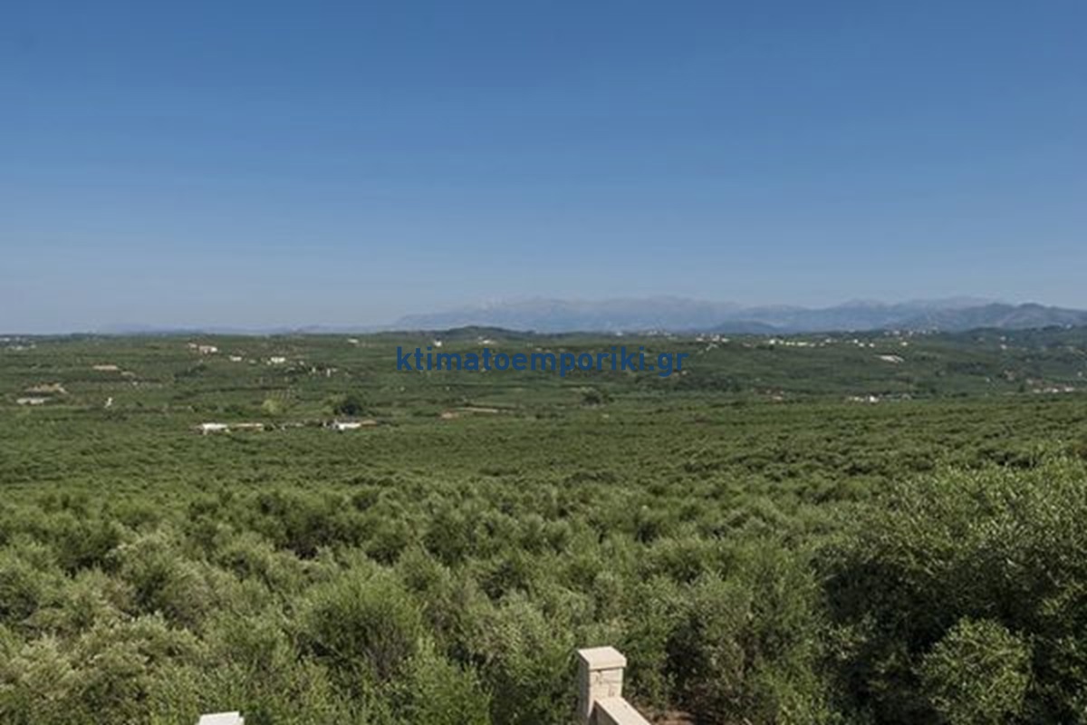 Gallery image 30