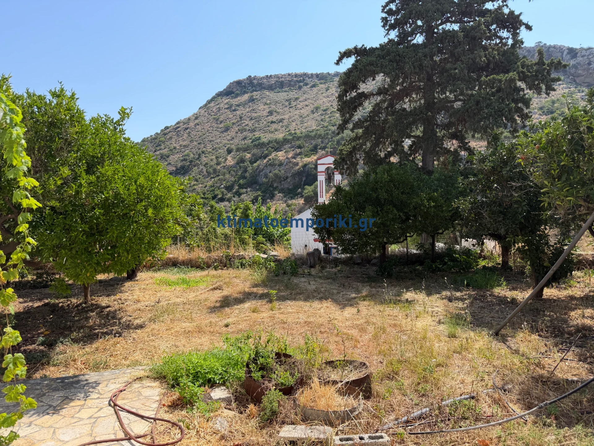 Gallery image 11