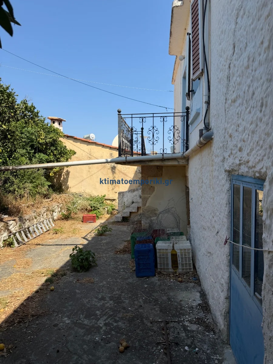 Gallery image 4