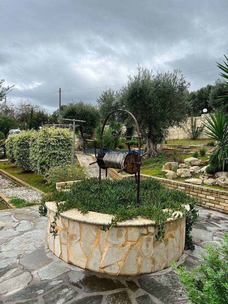 Gallery image 11