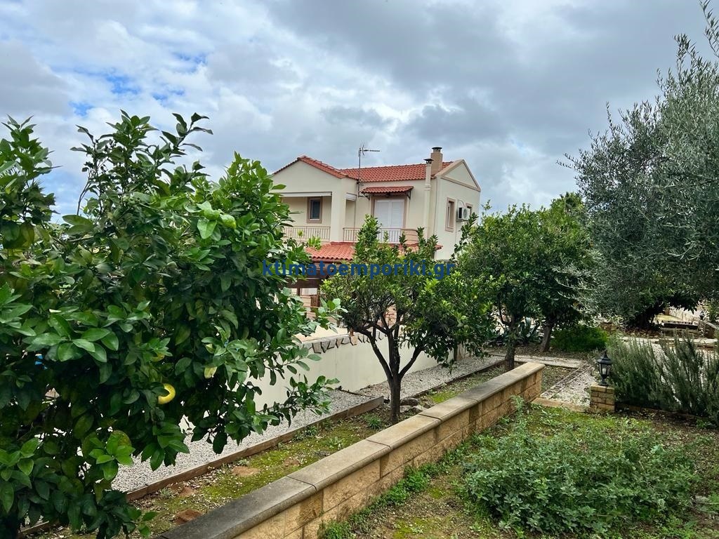 Gallery image 16