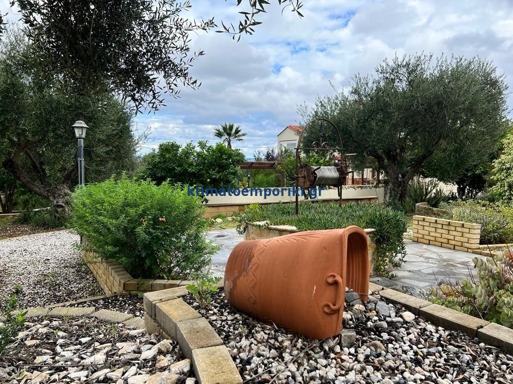 Gallery image 15