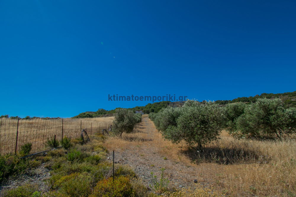 Gallery image 25