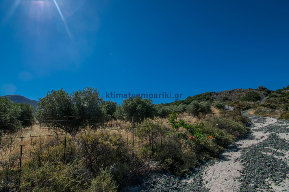 Gallery image 16