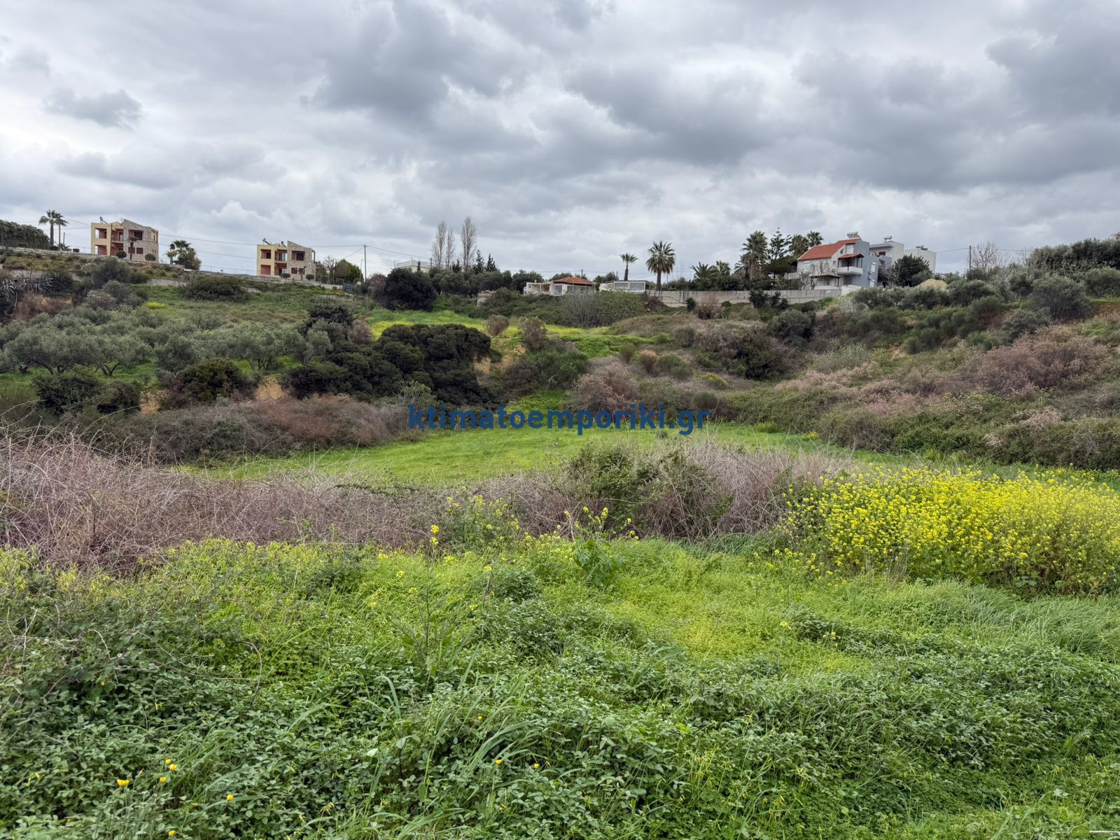 Gallery image 6
