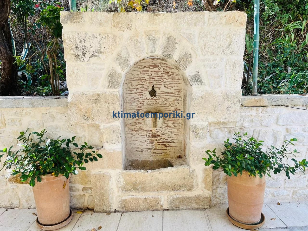 Gallery image 16