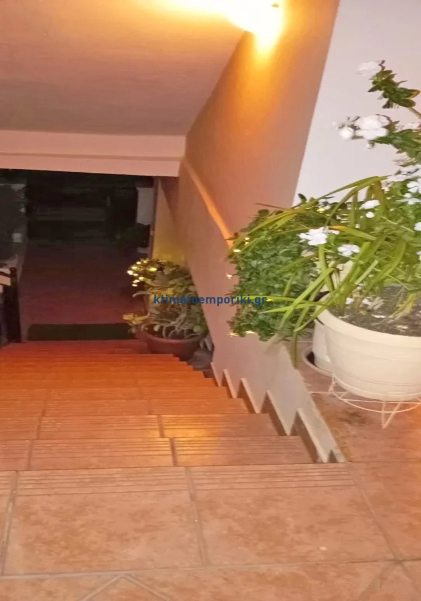 Gallery image 12