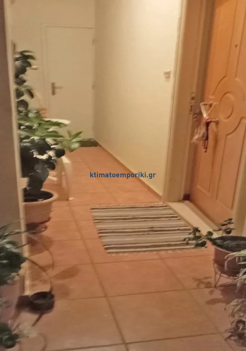 Gallery image 13