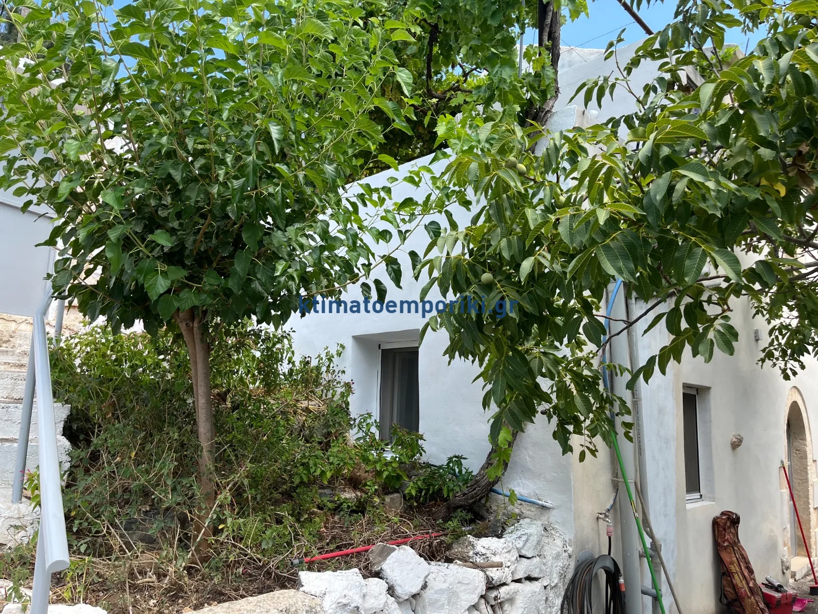 Gallery image 14