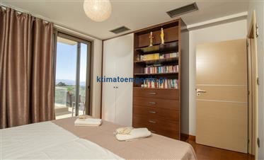 Gallery image 21