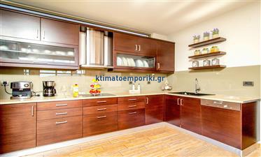Gallery image 16