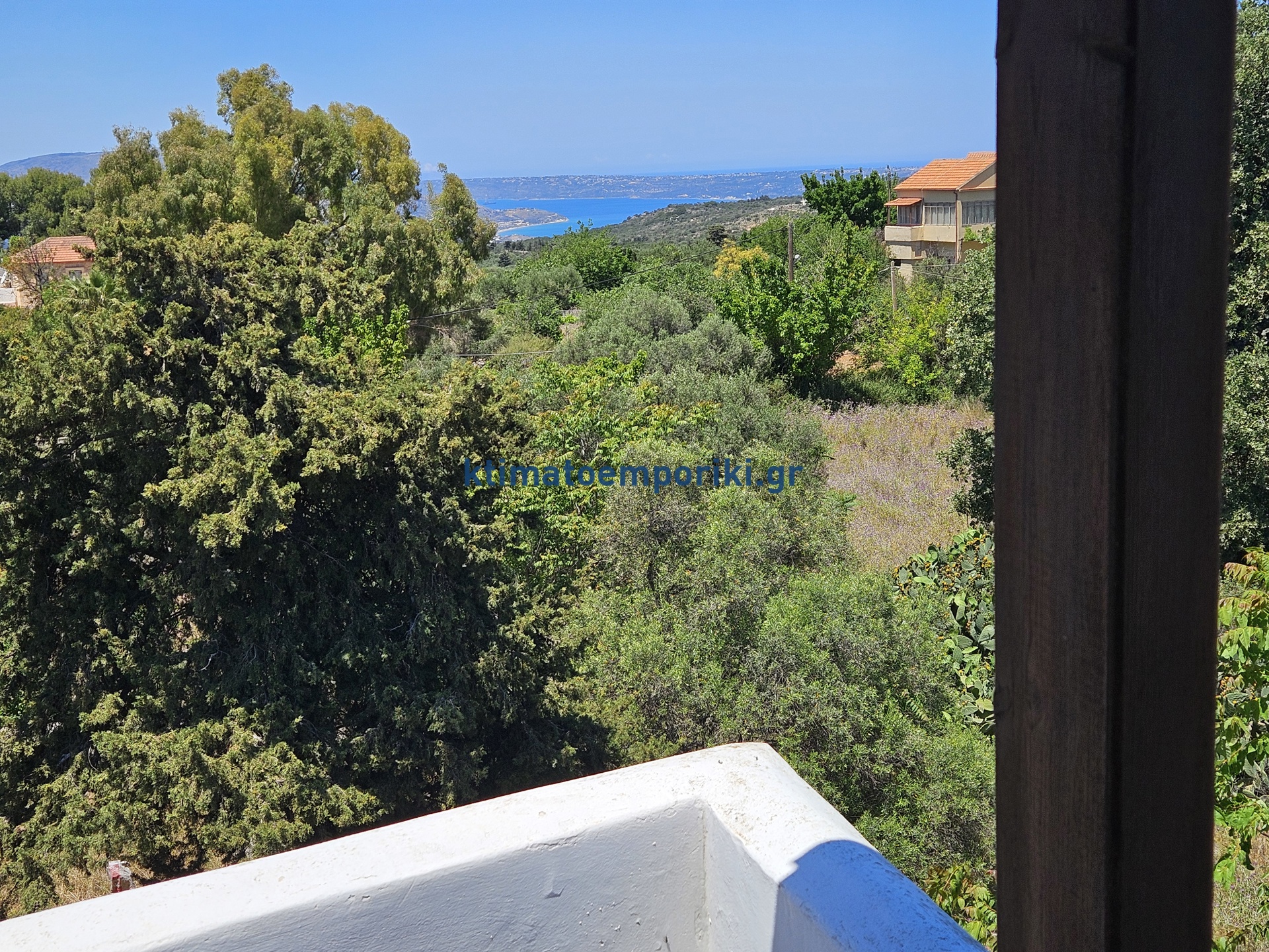 Gallery image 36