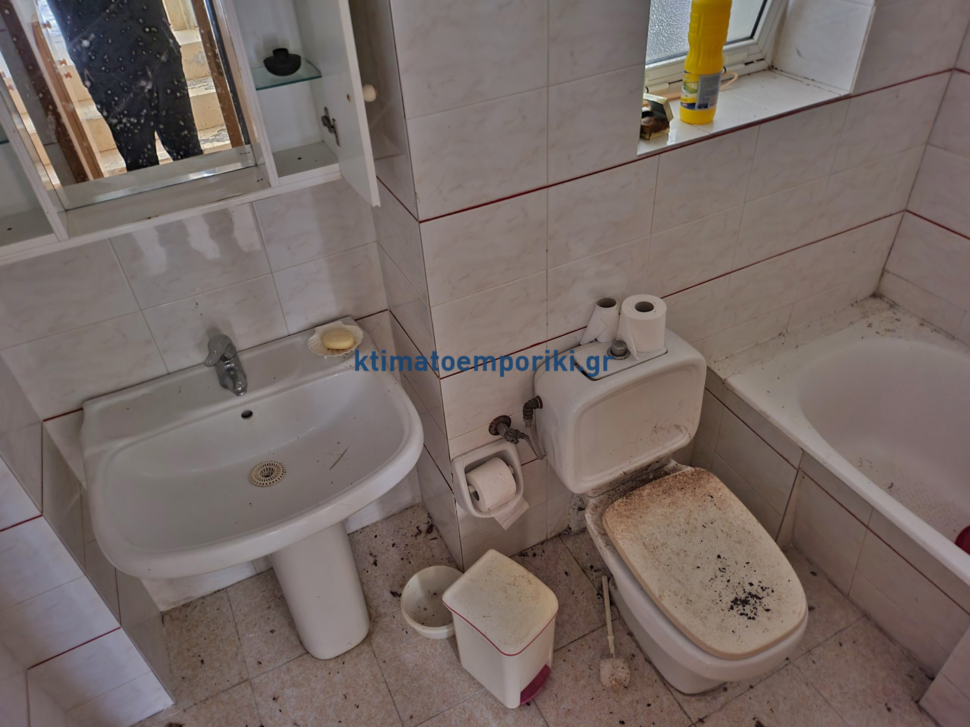 Gallery image 17