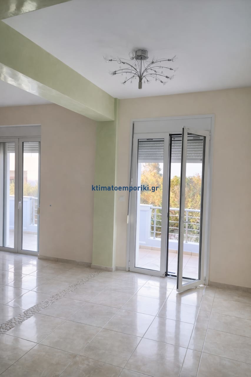 Gallery image 7